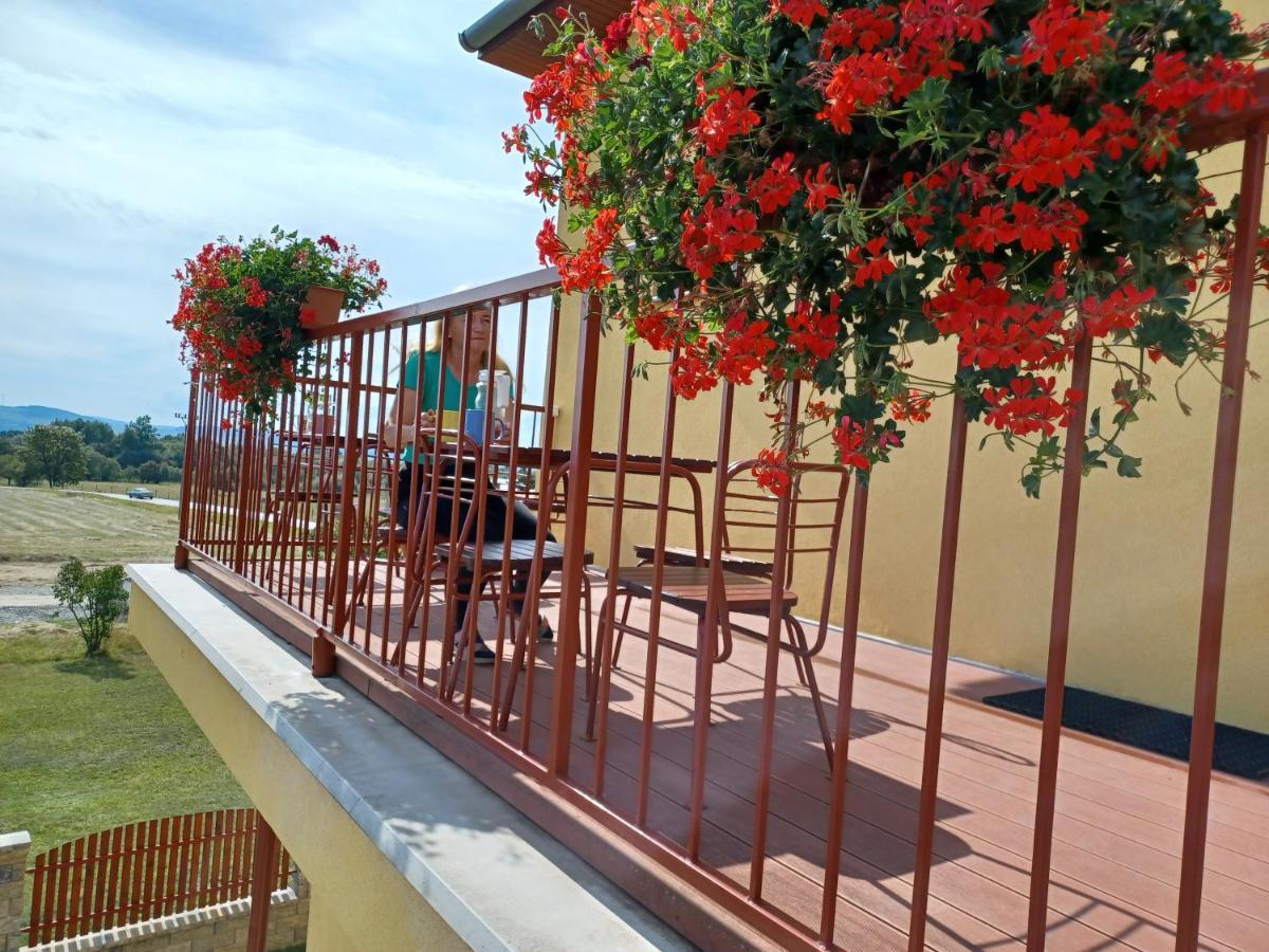 Privat U Eriky Hotel สตารา เลชนา ภายนอก รูปภาพ